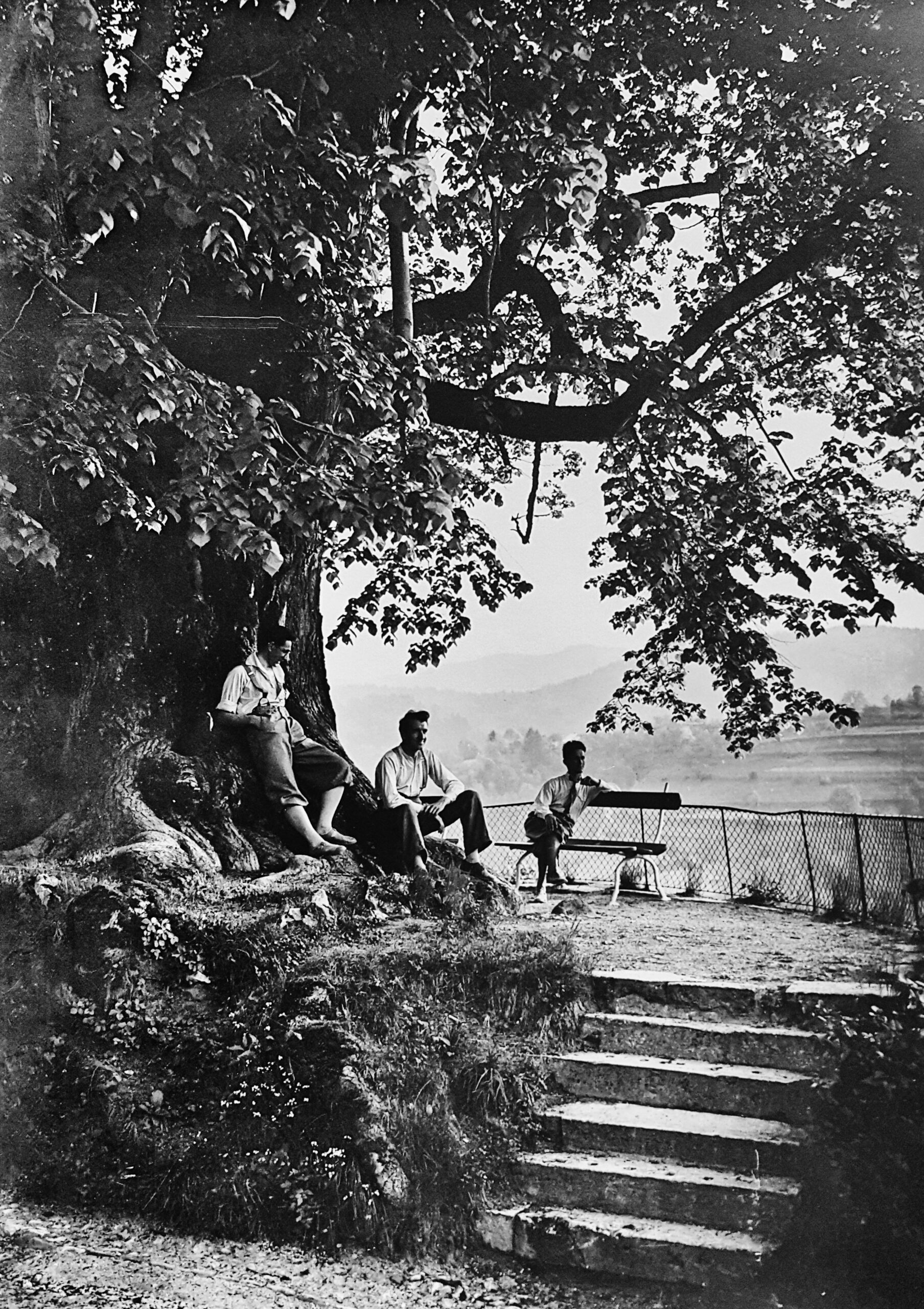 V senci grajske lipe, pred 1939. Hrani družine Auersperg, Reideben.